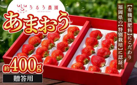 贈答用 あまおう 約400g[2025年1月下旬〜2025年3月下旬順次発送予定]いちご イチゴ 苺 フルーツ 果物 福岡県産