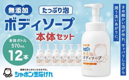 無添加ボディソープたっぷり泡本体570ml 1箱(12本)無添加 石鹸 石けん せっけん 泡せっけん 泡石鹸 福岡県 北九州市