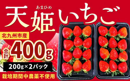 [栽培期間中農薬不使用]天姫(あまひめ)イチゴ 200g×2パック 合計400g [2025年2月上旬〜3月下旬発送予定]いちご 苺 フルーツ 果物 くだもの 福岡県 北九州市