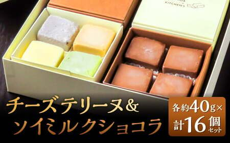 チーズテリーヌ & ソイミルクショコラ 計16個セット 5種類 食べ比べ 1個約40g 西京仕立味噌 八女抹茶 黒ゴマ 黒糖きなこ チョコレート 焼菓子 焼き菓子