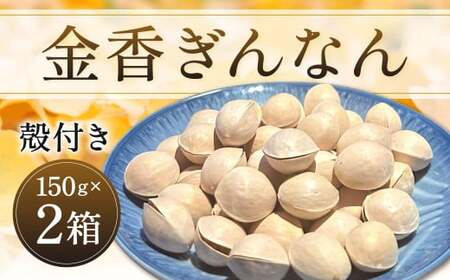 金香ぎんなん(殻付き)150g×2箱 合計300g 銀杏 ぎんなん 実 おつまみ おやつ