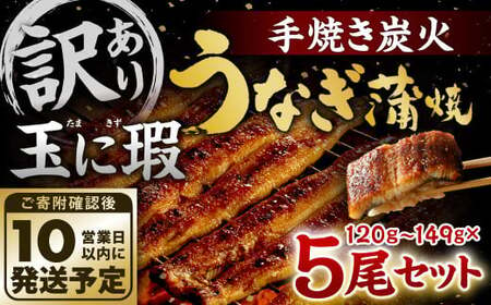 [10営業日発送][訳あり]玉に瑕 九州産 手焼き炭火うなぎ蒲焼 5尾 (1尾あたり120-149g)うなぎ 蒲焼 冷凍 年内配送