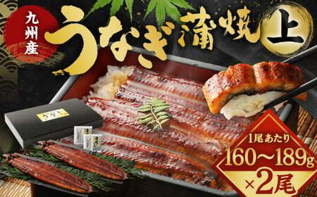 九州産 うなぎ 蒲焼 上 2尾 (1尾あたり160〜189g)[2025年10月発送]