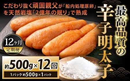 y12Jցz 蔲ŐeuDvVR≖u2N̖vŏnōi̐hqq 1pbN 500g×12 v6kg hqq hq߂񂽂 q
