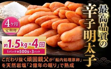 y4Jցz 蔲ŐeuDvVR≖u2N̖vŏnōi̐hqq 1.5kgi500g×3pbNj×4 v6kg hqq hq߂񂽂