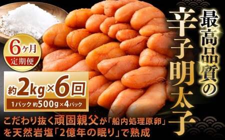 y6Jցz 蔲ŐeuDvVR≖u2N̖vŏnōi̐hqq 2kgi500g×4pbNj×6 v12kg hqq hq߂񂽂