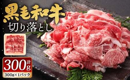 BY јa ؂藎Ƃ 300gi300g×1pbNj  Y a јa   Ⓚ  kBs