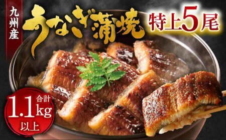 ��B�Y ���Ȃ� ���� ���� 5�� �v1.1kg�ȏ� (1��������220�`235g)�y2026�N3�������z