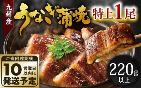[10営業日発送] 九州産 うなぎ蒲焼 特上 1尾 (220〜235g) うなぎ蒲焼き うなぎ 鰻 ウナギ 蒲焼 蒲焼き 特大サイズ 冷凍 福岡県 北九州市