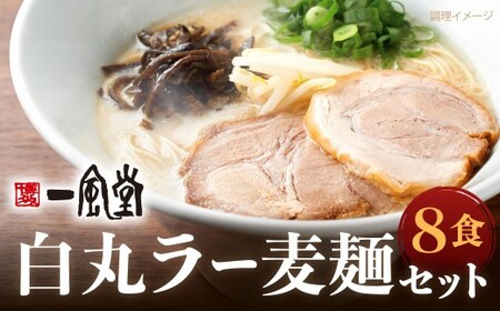 一風堂 白丸 ラー麦麺セット 8食分 スープ付き ラーメン 拉麺 ラー麦 細麺 豚骨ラーメン とんこつラーメン ストレート麺 乾麺 とんこつ 麺 福岡県 北九州市
