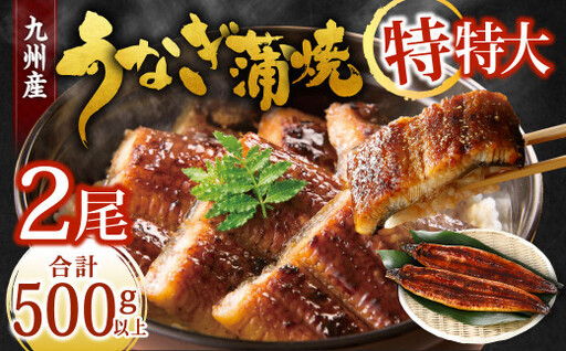 九州産 うなぎ蒲焼 特特大2尾 (1尾あたり250～266g) 合計500g以上【2026年7月発送】