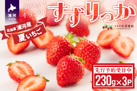 [先行予約受付中]北海道浦河産 夏いちご 「すずりっか」230g×3P[13-1334]