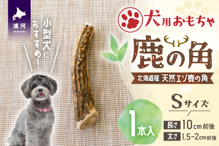 犬用「鹿の角」Sサイズ×1本[53-1347]