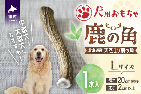 犬用「鹿の角」Ｌサイズ×1本[53-1349]
