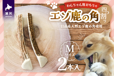 エゾ鹿の角 Mサイズ×2本セット(四割)[54-1369]