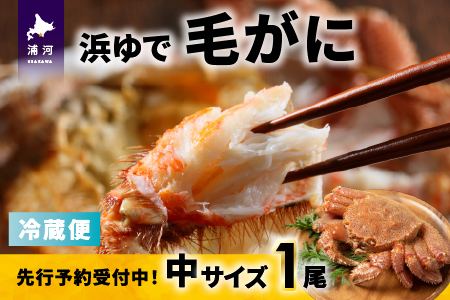 ystJnIz̕lŖт TCYPtwΉs[02-1417]