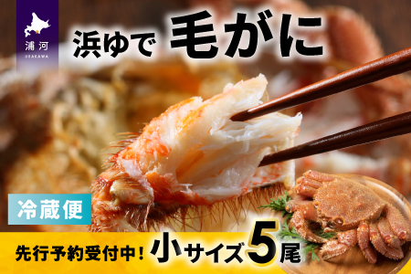 ystJnIz̕lŖт TCYTZbgtwΉs[02-1414]