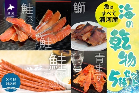 [父の日対応]北海道日高産 海鮮乾物5種セット[25-1459]