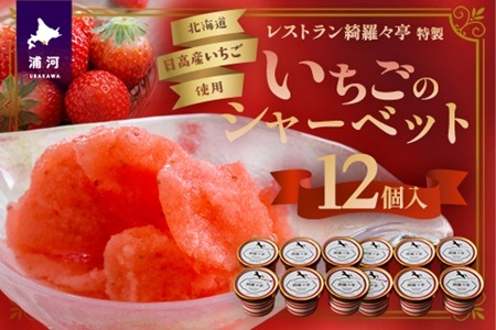 XgYXũV[xbgv12Zbg[59-1484]