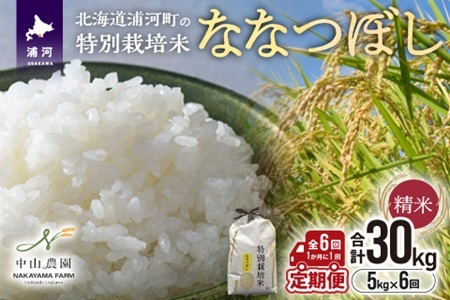 Y͂̓ʍ͔|āuȂȂڂv(5kg×1)(S6)[37-1490]