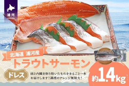 北海道浦河町産『トラウトサーモン』のドレス1本(約1.4kg)[02-1511]