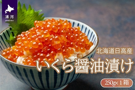 北海道日高産 いくら醤油漬(250g×1箱)[02-1438]