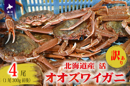 訳あり 活オオズワイガニ300g前後×4尾[02-1565]