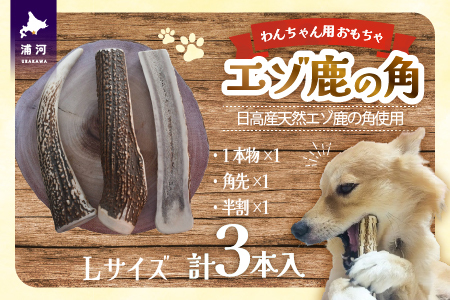 エゾ鹿の角　Lサイズよくばりセット(1本物・角先・半割)[54-1575]