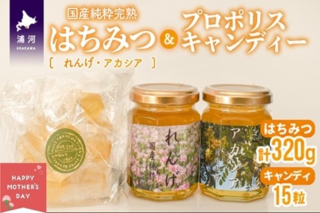 [母の日対応]国産純粋完熟はちみつ小瓶(れんげ・アカシア)&プロポリスキャンディーセット[16-1579]