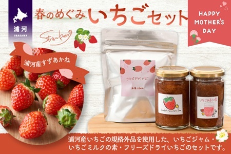 [母の日対応]べてるの家の「いちごセット」[45-1594]