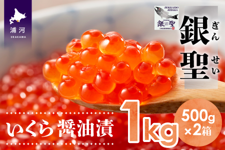 OlY uhэ(VR)u␹vݖ(500g×2)[02-298]