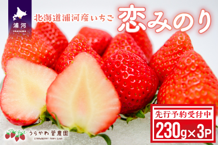 【先行予約受付中】北海道浦河産いちご「恋みのり」230g×3P[13-268]