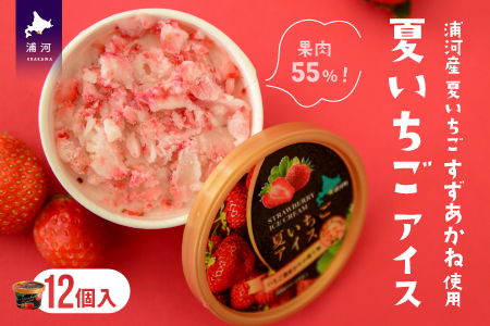 果肉55%「夏いちごアイス(12個)」北海道のいちご農家の贈り物 [B22-237]