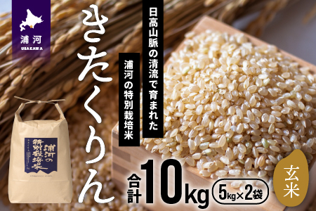 [令和5年産]浦河の特別栽培米「きたくりん」玄米(5kg×2袋)[28-551]