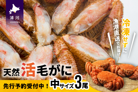 ystJnIz̊т TCYRZbgtwΉs[02-176]