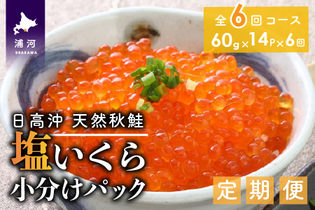 yX[NT[tzkCY 珬pbN(60g×14)yS6ցz[15-851]