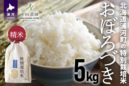 [令和5年産]北海道浦河町の特別栽培米「おぼろづき」精米(5kg×1袋)[37-1132]