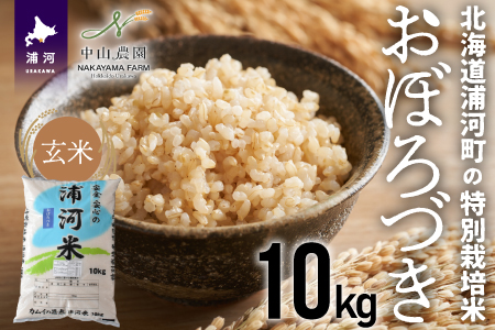 北海道浦河町の特別栽培米「おぼろづき」玄米(10kg×1袋)[37-1146]