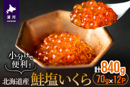 ŕ֗I(70g×12)[02-1062]