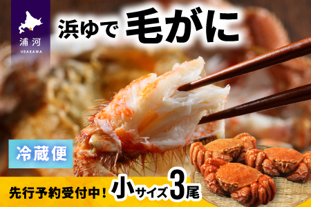 ystJnIz̕lŖт TCYRZbgtwΉs[02-1201]