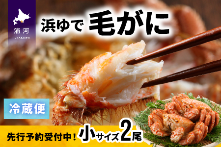 ystJnIz̕lŖт TCYQZbgtwΉs[02-1202]