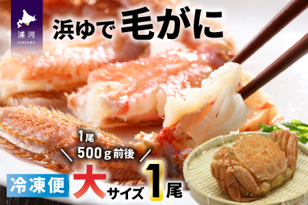 Ⓚ̕lŖт TCYP [02-1203]