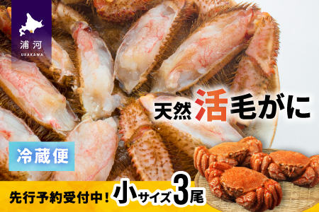 ystJnIz̊т TCYRZbgtwΉs[02-1206]