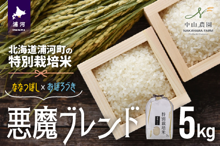 [令和5年産]北海道浦河町の特別栽培米「悪魔ブレンド」精米(5kg×1袋)[37-1225]