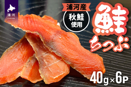 北海道日高産 さけちっぷ(40g×6P)[25-1290]