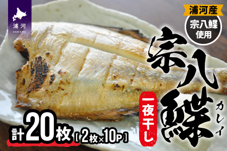 北海道日高産 宗八鰈一夜干し(計20枚)[25-1300]