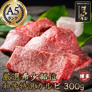 希少部位厳選!特選カルビ 博多和牛A5 300g (1〜2人前)