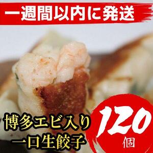 博多エビ入り一口生餃子 120個 小分け便利8パック 創業40年以上福岡老舗会社製造 [1週間以内に発送!]