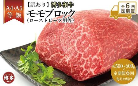 y֑S6z󂠂IaubNi[Xgr[tpj500`600