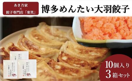 博多めんたい餃子(10個入り)3個セット